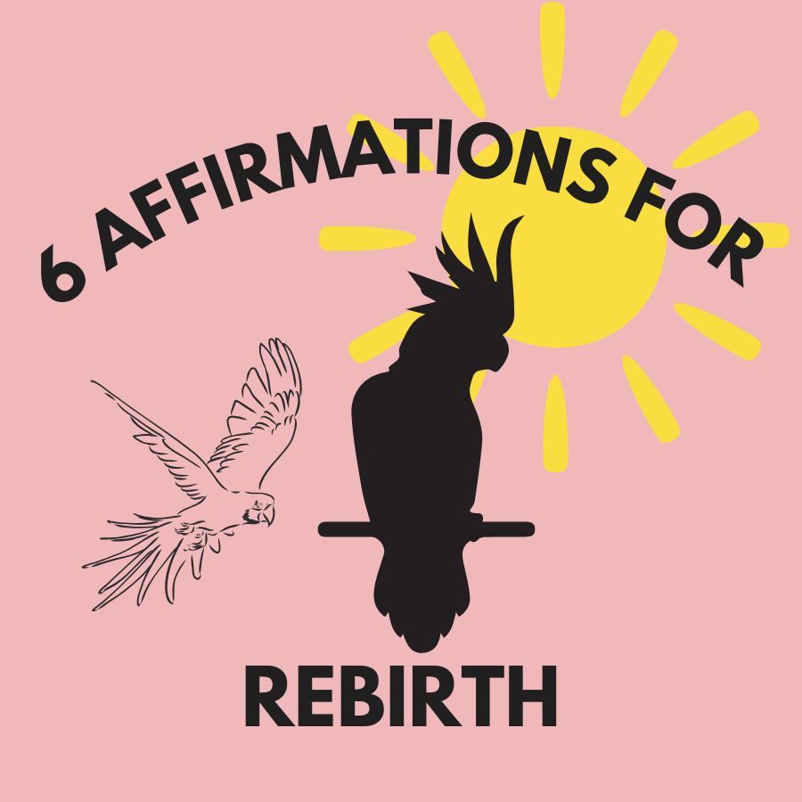 "6 Affirmations for Rebirth with White Cockatoo" Guide with Mirree PDF