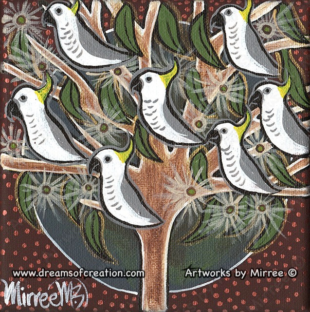 Australian Sulphur Crested White Cockatoos in Tree Series Framed Canvas Print by Mirree Contemporary Aboriginal Art