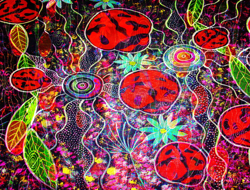 Ancestral Lady Beetles Painting A4 Girlcee Print by Mirree Contemporary Aboriginal Art