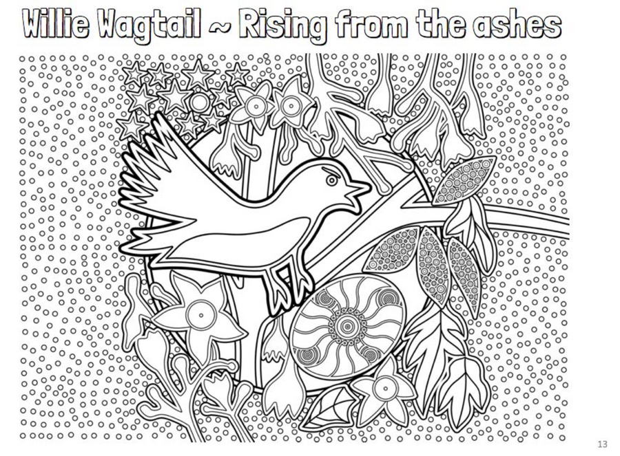 'Willie Wagtail Colouring Single PDF Page COLOURING PAGE' by Mirree Contemporary Flower Medicine
