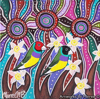 Thumbnail for GOULDIAN FINCH Framed Canvas Print by Mirree Contemporary Aboriginal Art