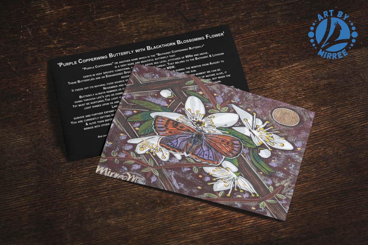 'Purple Copperwing Butterfly with Flower Medicine' Aboriginal Art A6 Story PostCard Single by Mirree