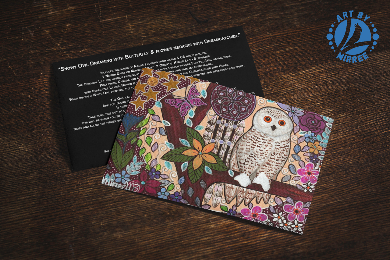 'Snowy Owl Dreaming with Butterfly and Flower Medicine' Aboriginal Art A6 Story PostCard Single by Mirree